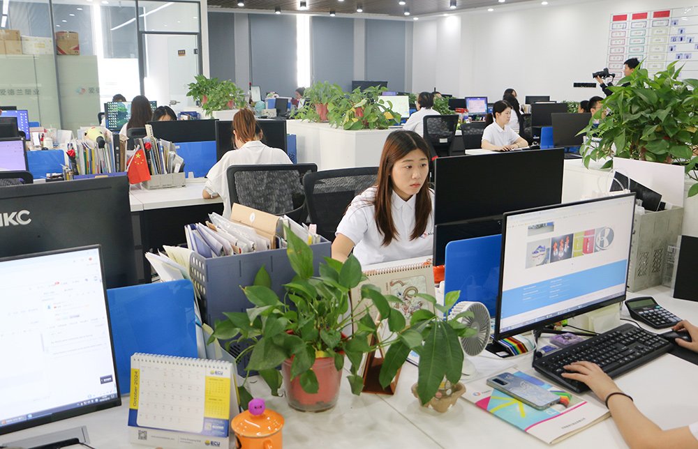Our services
